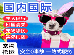 库车龟兹机场空运国际宠物托运 【国